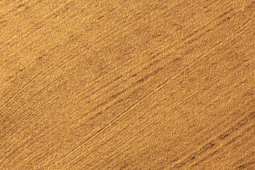 Abstract gold grunge background texture.