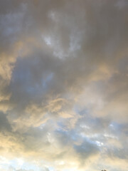 Dramatic cloudy sky with soft hues of gray and blue, creating a moody and atmospheric background perfect for nature and weather themes.