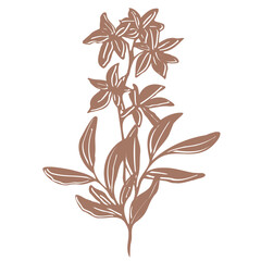 Minimalistic vector botanical illustration. bouquet with hand drawn flowers and leaves in mocha. silhouettes, emphasizing natural, organic beauty in a modern style for print, tattoo