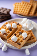 photo Delicious homemade waffles topped with chocolate pieces and fluffy marshmallows offering an irresistible combination of textures and flavors for breakfast or dessert enjoyment