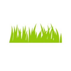 Green grass illustration 