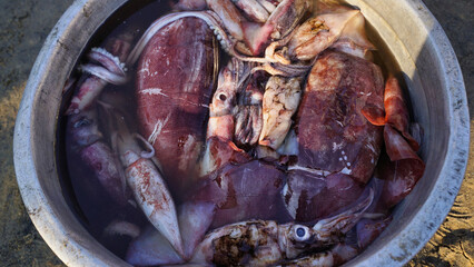 Fresh fish in a bowl on the seashore