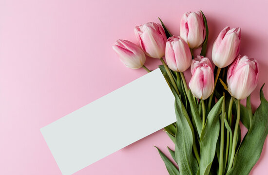 Pink Tulips surrounding a blank card on a pink background - Powered by Adobe