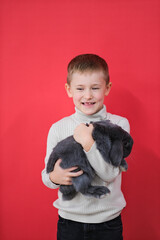 Boy playing with rabbit in apartment