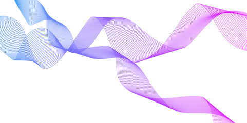 Abstract colorful wavy stripes on white background isolated, minimalistic geometric background with purple, blue and pink wavy lines form spiral ribbon. Graphic design template banner.	