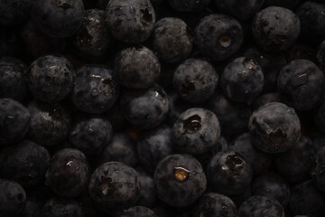 a close-up photograph of a large group of fresh blueberries. The berries are tightly packed together, filling the entire frame. Many of the blueberries have tiny droplets of water 