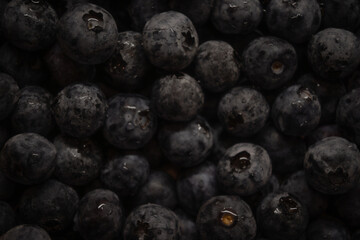 a close-up photograph of a large group of fresh blueberries. The berries are tightly packed together, filling the entire frame. Many of the blueberries have tiny droplets of water 