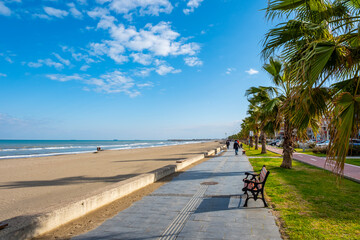 A beach with a bench and palm trees