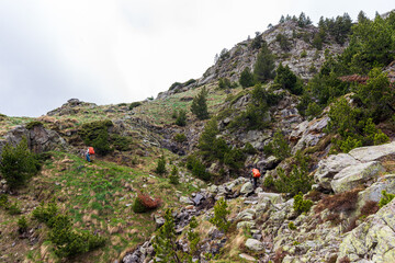 Excursionistas en sendero de montaña rocoso con vegetación. Paisaje pirenaico. GR11, Lleida