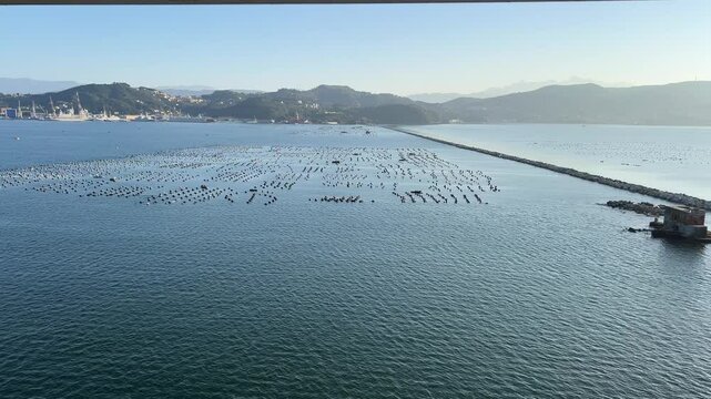 oyster fishing farm on the water La Spezia, Italy Celebrity Constellation cruise ship at La Spezia port. La Spezia is localized yn the southern part of the Liguria region.