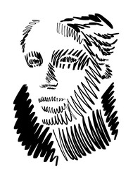 Head of an ancient female goddess, freestyle abstract vector illustration