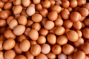 Texture and background of organic raw chicken eggs. Chicken eggs cover the frame.
