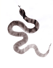 snake, year of the snake, chinese japanese ink painting