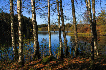 Obraz premium lac de Crégut en automne