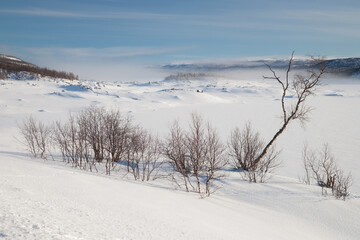 Obraz premium fog over a frozen lake in sweden