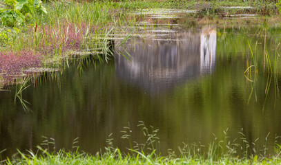Obraz premium small lake waters framed by vegetation of grasses and aquatic plants with reflection of a rural house 1