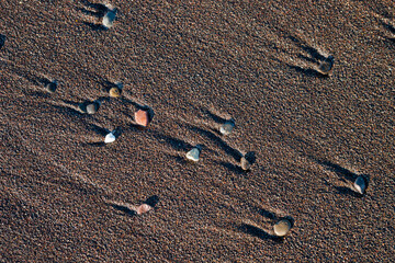 stones on a black beach in iceland