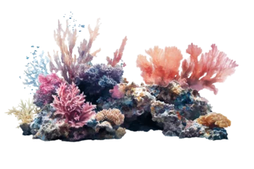 Gordijnen Pastel coral reef on transparent background © KaysArt
