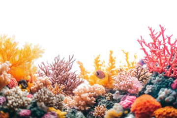 Fototapete Rund Pastel coral reef on transparent background © KaysArt