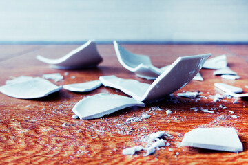 Broken Plate, Splinters, Fragments . side view