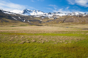 beautiful icelandic landscape in summer