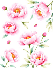 Fototapeta premium Pink peonies floral set. Watercolor illustration isolated on white background, doodle art