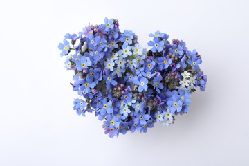 Heart of beautiful blue forget-me-not flowers isolated on white, top view