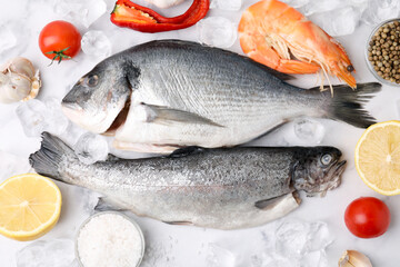 Fresh raw sea food, ice cubes and products on white marble table, flat lay