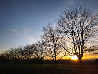 Fototapeta premium Sunset at the Nussbaum Reihe