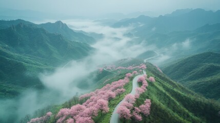 Scenic rolling green hills with blooming pink trees under cloudy skies