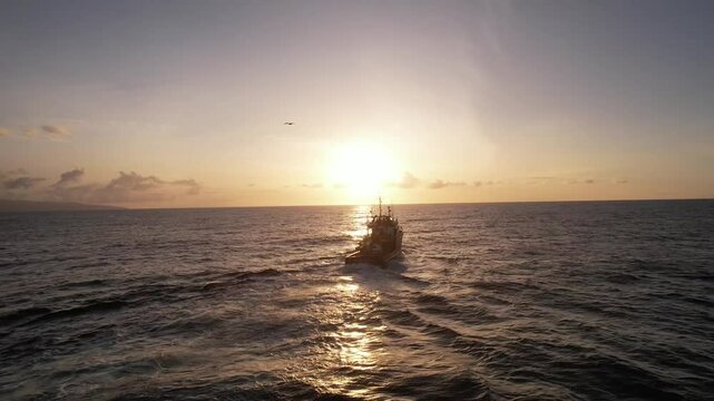 Imagem de um atuneiro navegando nas &aacute;guas do Oceano Atl&acirc;ntico durante o p&ocirc;r do sol, com o barco cortando suavemente as ondas sob a luz dourada e laranja do fim do dia. 
