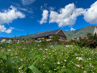 house in the mountains