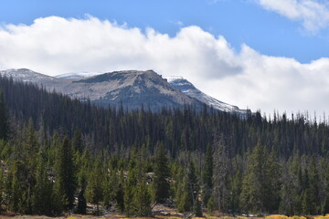Jackson Hole, Wyoming