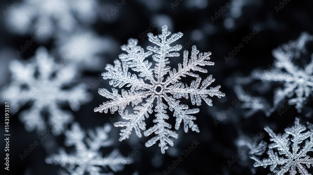 Poster blurry snowflakes gently falling against a deep black background creating a serene winter atmosphere