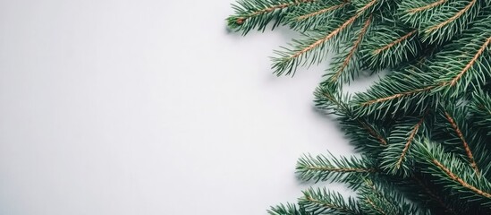 Obraz premium Fir branches with decorative elements arranged on a neutral backdrop for seasonal design and text placement.