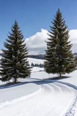 Obraz premium Snowy forest and mountains in a winter landscape, set against a blue sky