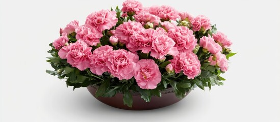 Fototapeta premium Elegant bouquet of pink carnations arranged beautifully for thoughtful gifting and special occasions.