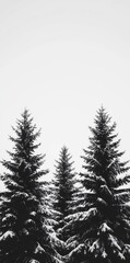 Obraz premium A serene winter vista with snow-covered terrain and naked trees in close proximity to a frozen lake