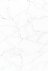 Obraz premium luxury marble floor shining with halftone texture for wallpaper, photo, with white tones