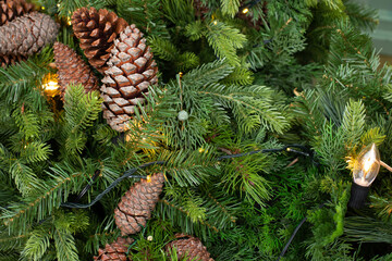 Above view on pine tree branches with Christmas fairy lights and cones.