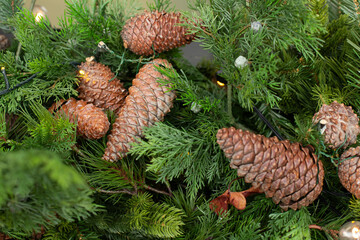 Above view on pine tree branches with Christmas fairy lights and cones.