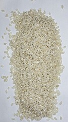 rice, product, agriculture, porridge, rice on white background, isolated, raw, 
