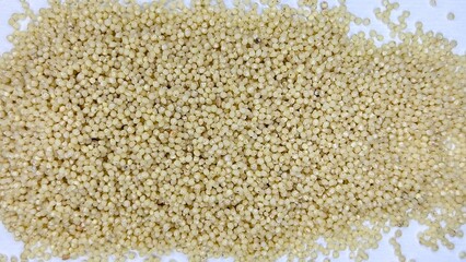 millet on white background,millet, porridge, cereal, food, health,