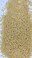 millet on white background,millet, porridge, cereal, food, health,