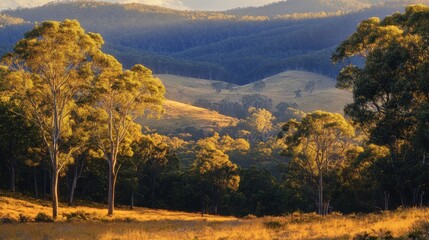 Serene landscape featuring rolling hills, trees, and soft sunlight illuminating the scenery.