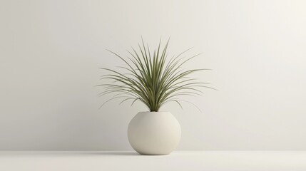 A simple white pot with a green plant against a minimalistic background.