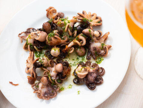 Delicious baby octopuses (Pulpitos) on plate with herbs in restaurant