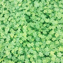 Obraz premium Shamrock Background
