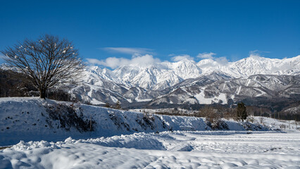 Obraz premium 青空と雪の北アルプス 長野県白馬村