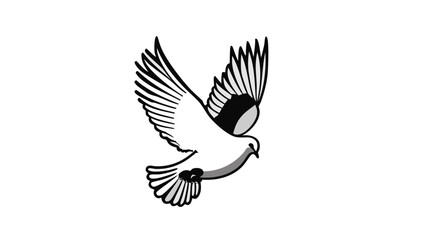 Fototapeta premium Colombe élégante en vol